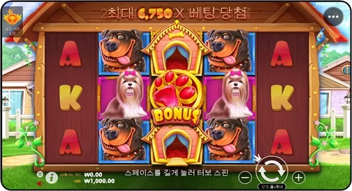 프라그마틱 도그 하우스