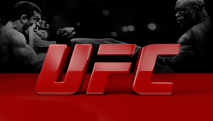 UFC 격투 스타일