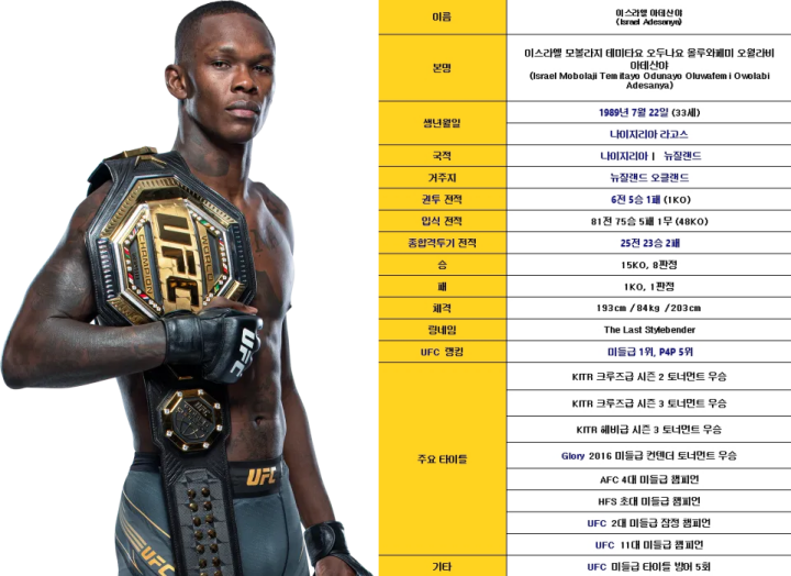 UFC 격투 스타일