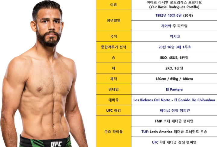 UFC 격투 스타일