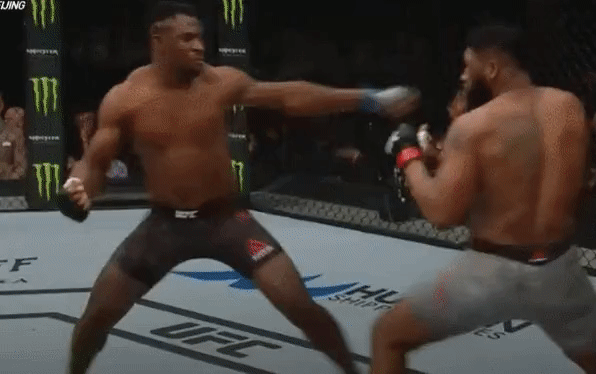 UFC 격투 스타일