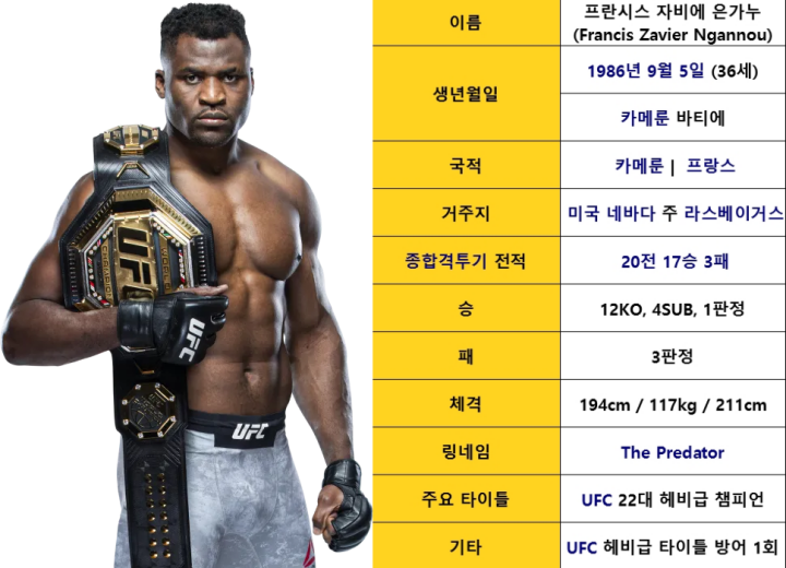 UFC 격투 스타일