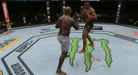 UFC 격투 스타일