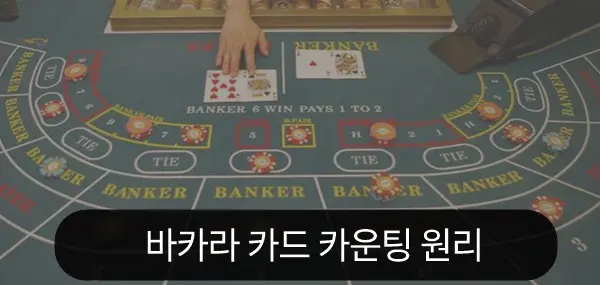 바카라 카드 카운팅 원리
