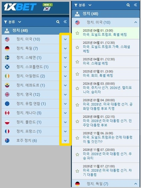 정치 배팅