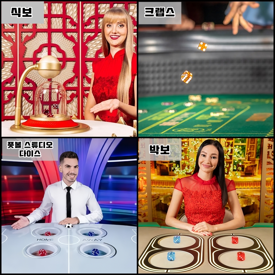 카지노 주사위 게임