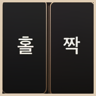 라이트닝 식보 홀짝