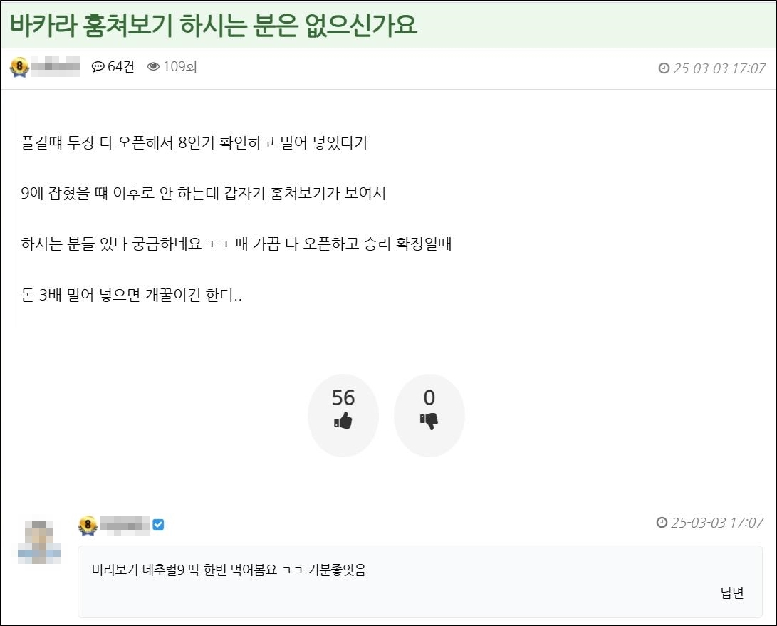바카라 훔쳐보기 후기