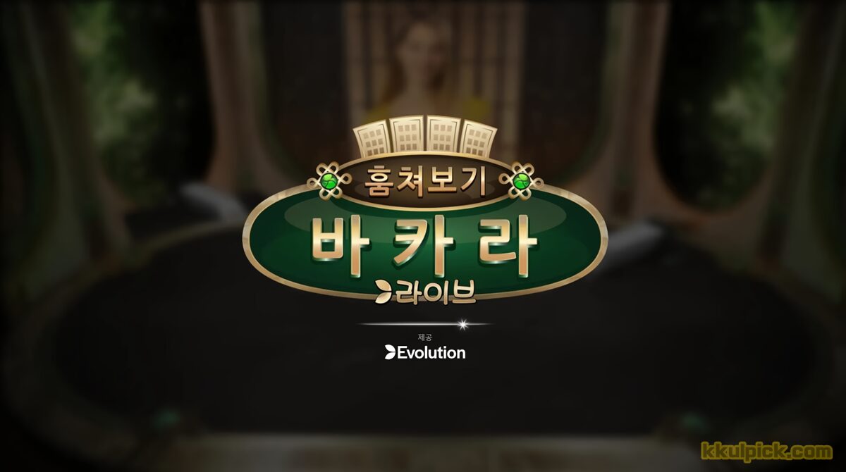 바카라 훔쳐보기